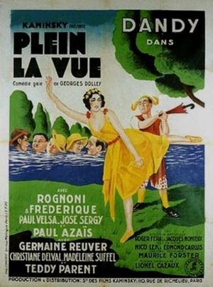 Plein la vue's poster image