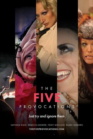 The Five Provocations's poster