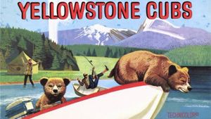 Yellowstone Cubs's poster