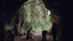 Lost and Beautiful's poster