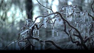 The Ice Storm's poster