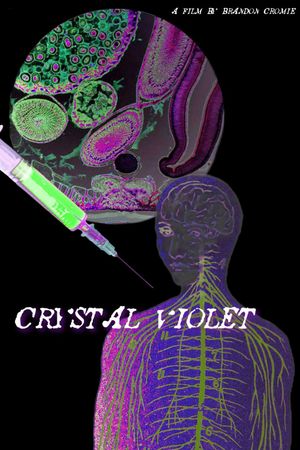 Crystal Violet's poster