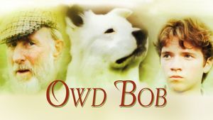 Owd Bob's poster