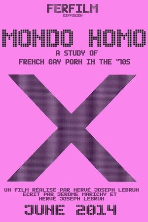Mondo Homo: A Study of French Gay Porn in the '70s's poster