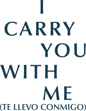 I Carry You with Me's poster