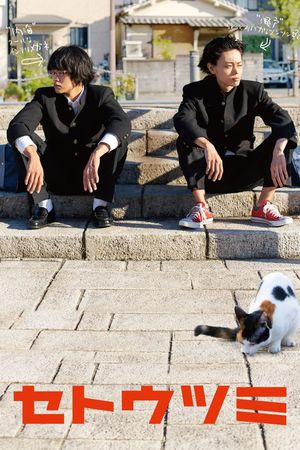 Seto and Utsumi's poster