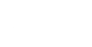Tom of Finland's poster