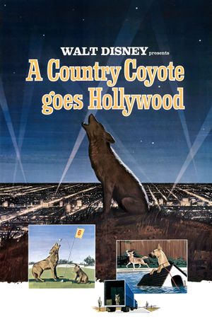 A Country Coyote Goes Hollywood's poster