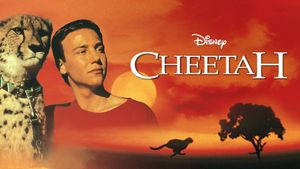 Cheetah's poster