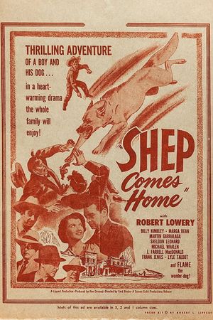 Shep Comes Home's poster