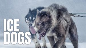 Ice Dogs: The Only Companions Worth Having's poster