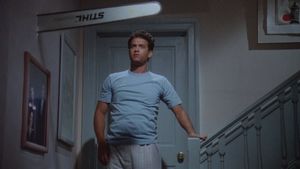 The 'Burbs's poster