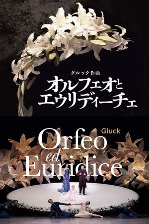 Orfeo ed Euridice - New National Theatre Tokyo's poster