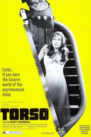Torso's poster