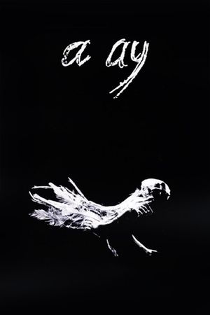 A Ay's poster