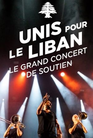 Le Grand Concert Unis pour le Liban's poster