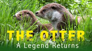 The otter, a legend returns's poster