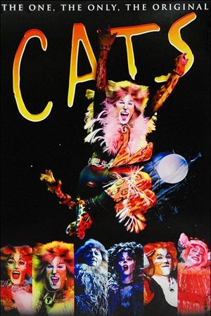 Cats's poster