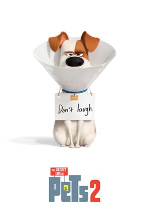 The Secret Life of Pets 2's poster