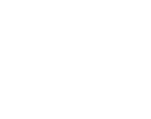 Bios: Os Paralamas do Sucesso's poster