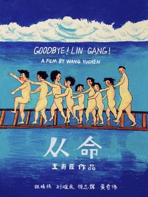 Goodbye! Lin Gang!'s poster