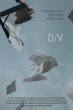 D/V's poster