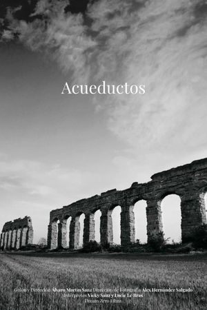 Aqueducts's poster