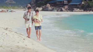 Summer to Winter's poster