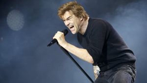 Die Toten Hosen - Rock am Ring's poster