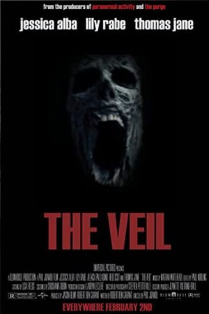 The Veil's poster