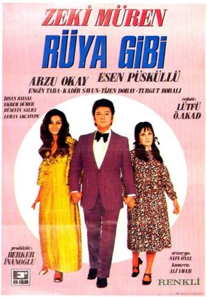 Rüya Gibi's poster