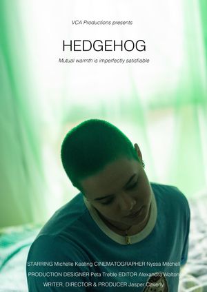 Hedgehog's poster image