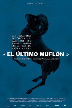 The Biological Invasions. The Case of Ovis Orientalis Musimon on the Island of Tenerife: « The Last Mouflon»'s poster