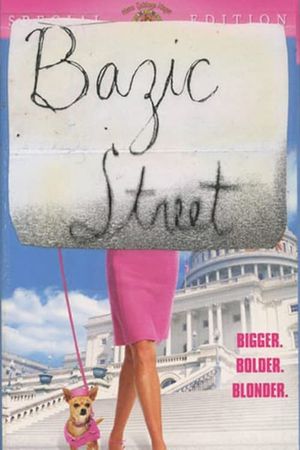 Bazic Street's poster