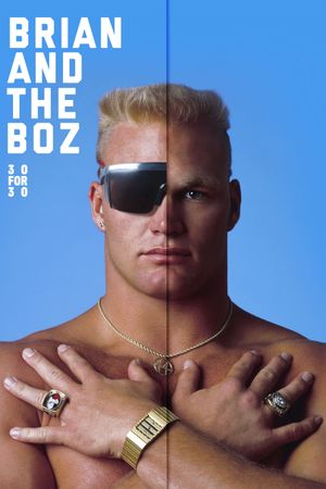Brian and the Boz's poster