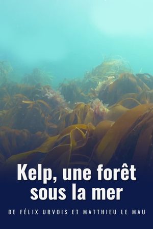 Kelp, une forêt sous la mer's poster