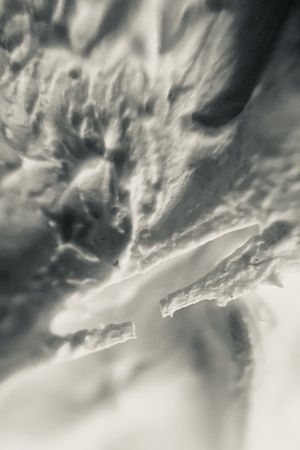 Rough Texture / Pilot Run's poster