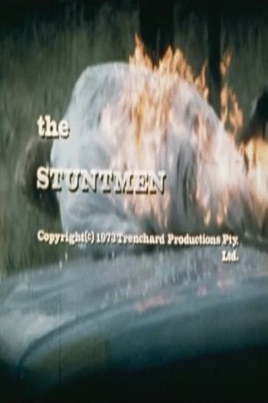 The Stuntmen's poster image