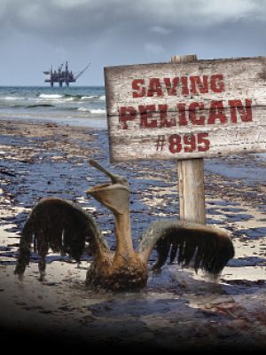 Saving Pelican 895's poster image