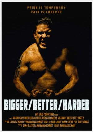 Bigger/Better/Harder's poster