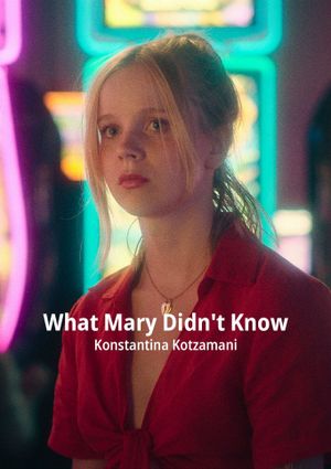 What Mary Didn't Know's poster