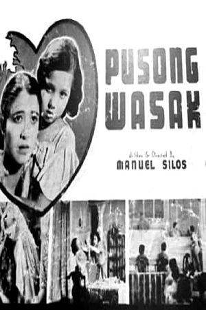 Pusong wasak's poster