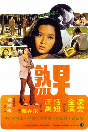Thirteen's poster