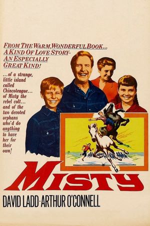 Misty's poster