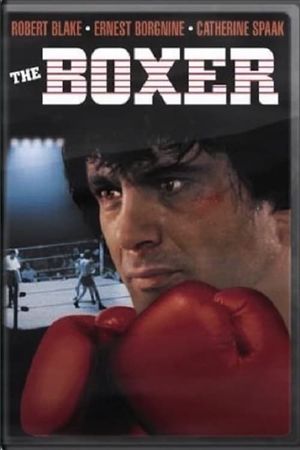 The Boxer's poster