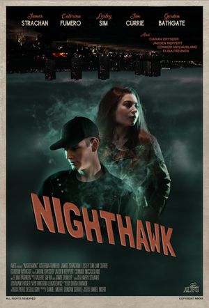 Nighthawk's poster