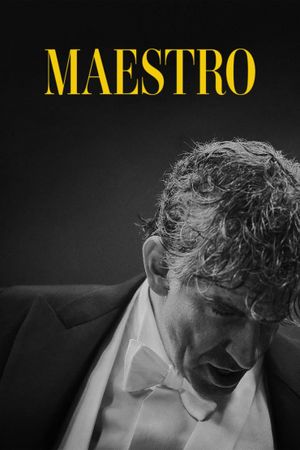 Maestro's poster