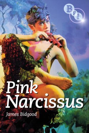 Pink Narcissus's poster