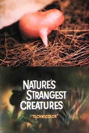 Nature's Strangest Creatures's poster