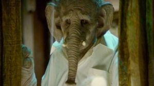 Elefante's poster